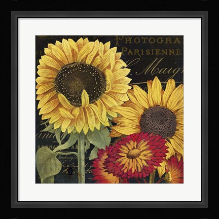 Framed October Sun I Print