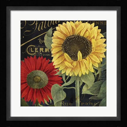 Framed October Sun II Print