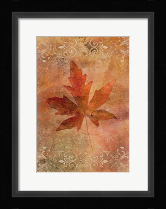 Framed Picked Up Autumn Leaf II Print