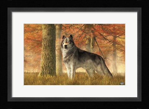 Framed Wolf In Autumn Print