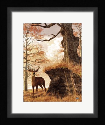 Framed Autumn Buck Print