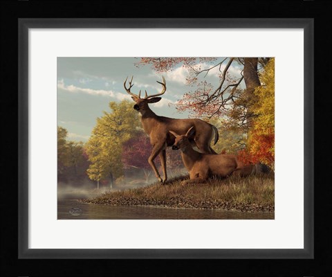 Framed Deer On An Autumn Lakeshore Print