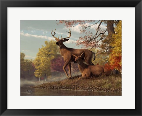 Framed Deer On An Autumn Lakeshore Print