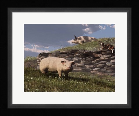 Framed Free Range Pigs Print