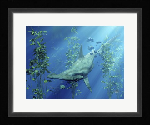 Framed Hammerhead Art Print