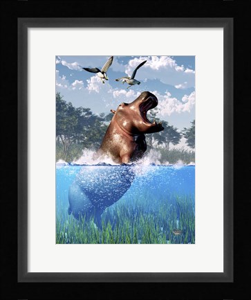 Framed Lunging Hippo Print