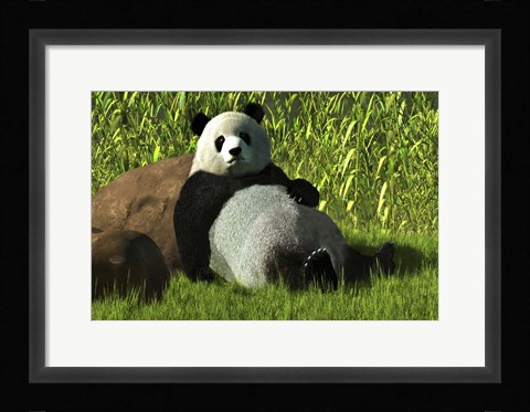 Framed Reclining Panda Print