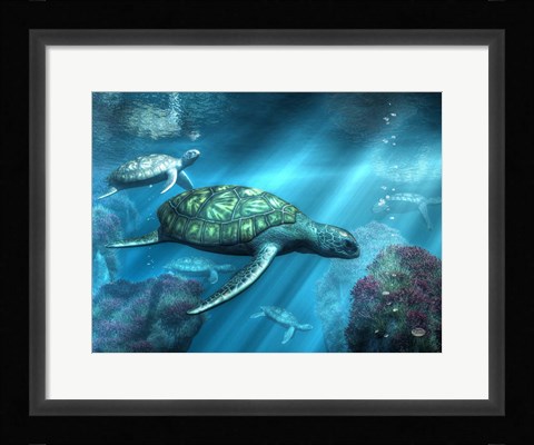 Framed Sea Turtles Print