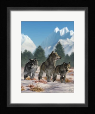 Framed Three Wolves Print