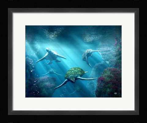 Framed Turtle Alley Print