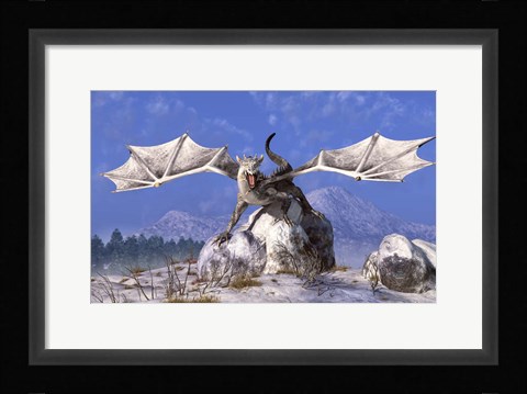 Framed White Dragon Print