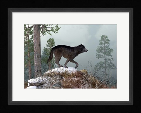 Framed Winter Wolf Print