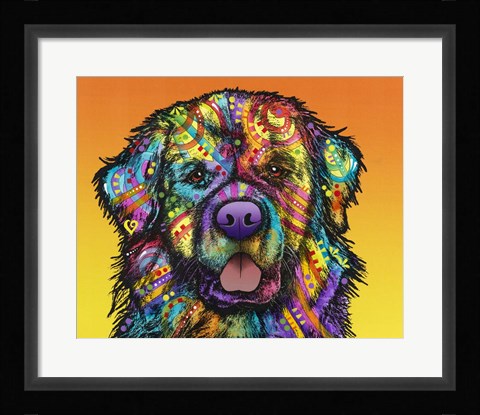 Framed Newfie Print