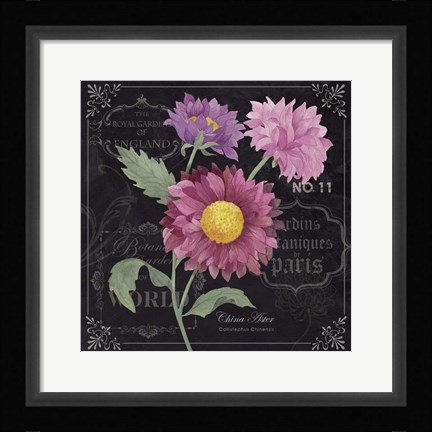 Framed Aster Print