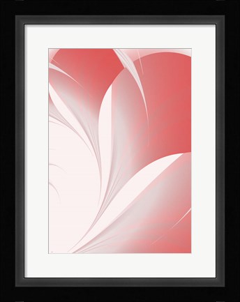 Framed Petals II Print