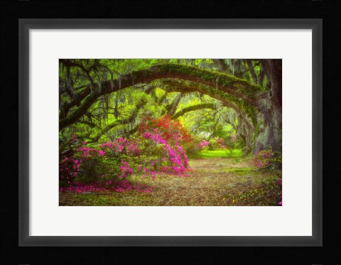 Framed Magnolia Gardens Print