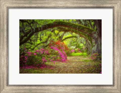 Framed Magnolia Gardens Print