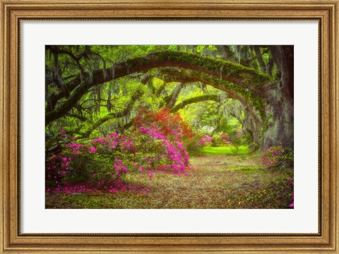 Framed Magnolia Gardens Print
