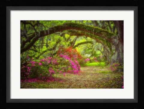 Framed Magnolia Gardens Print