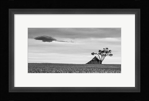 Framed Companions Print