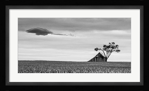 Framed Companions Print