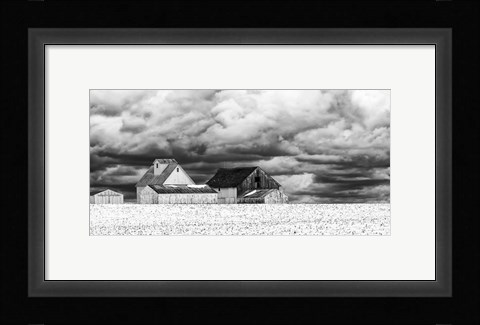 Framed Five White Barns Print