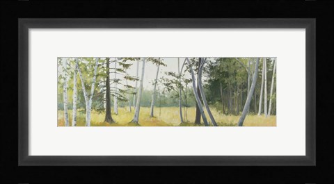 Framed Birch Field Print