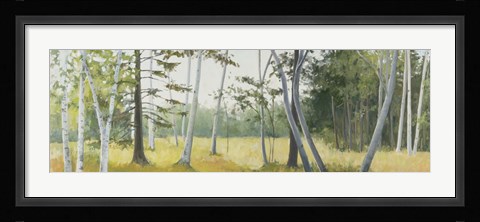Framed Birch Field Print