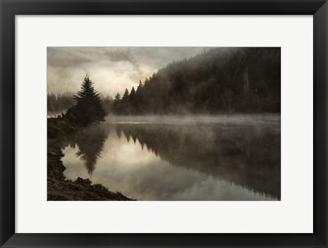 Framed Coos Fog Print