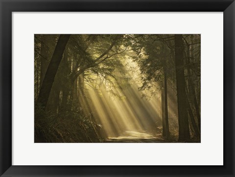 Framed L'esprit du soleil Print