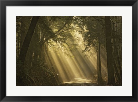 Framed L'esprit du soleil Print