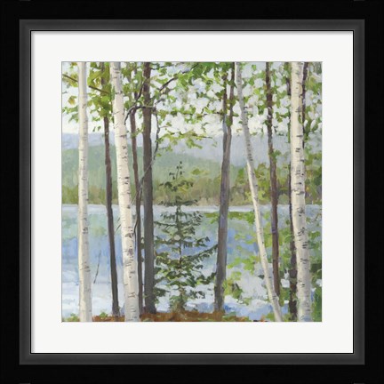 Framed Cooper Lake I Print