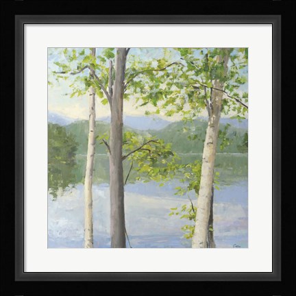 Framed Cooper Lake II Print