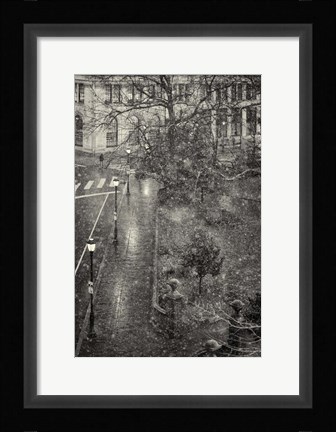 Framed Trompe L'Oeil Print