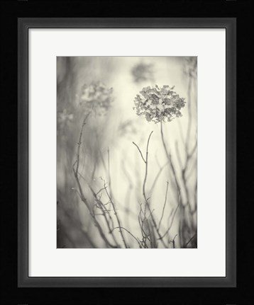 Framed President's Day Print