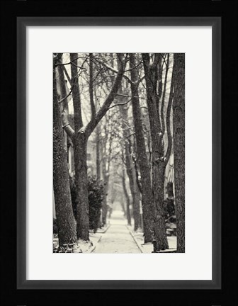 Framed Quince Street Print