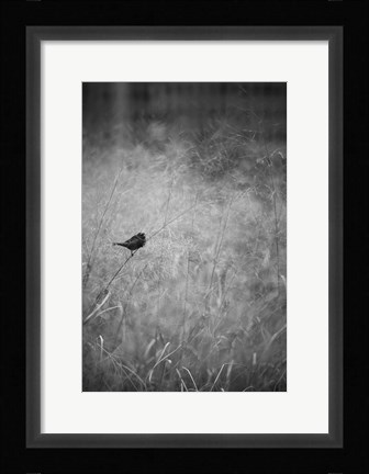 Framed Urban Meadow Print