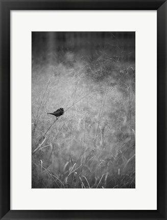 Framed Urban Meadow Print