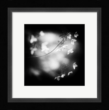 Framed Winter Flowers Print