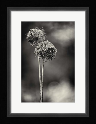 Framed Gris-Gris Print