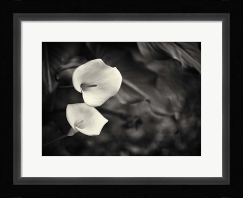 Framed Something More Beside You Print