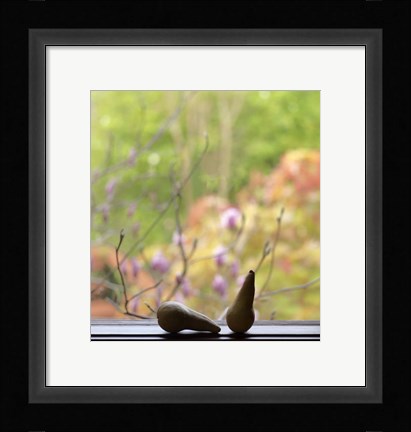 Framed Still Life with Pears and the Magnolia Trees Beyond Print