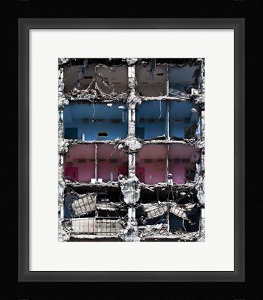 Framed Organelles Print