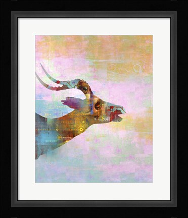 Framed Steed Print
