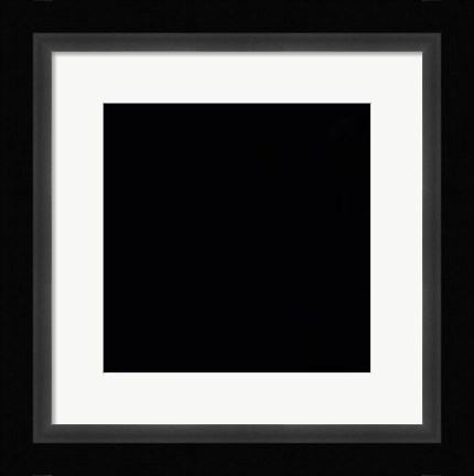 Framed Prince 3 Print