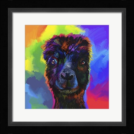 Framed Pop Art - Alpaca Print