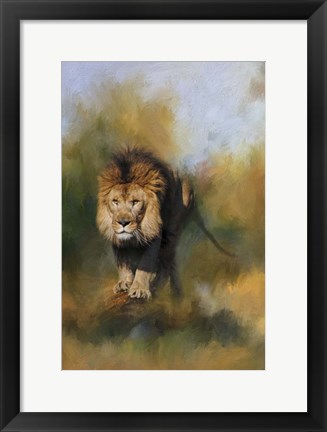 Framed Spring Lion 1 Print