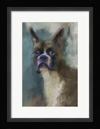 Framed Brave Boxer Print
