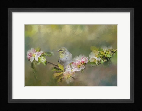Framed Goldfinch In The Garden 2 Print
