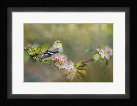 Framed Goldfinch In The Garden Print
